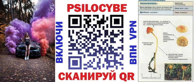 Псилоцибиновые грибы мицелий  Черняховск 
