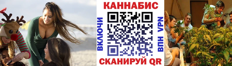 Бошки марихуана THC 21%  Черняховск 